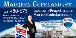 Melbourne Florida Properties Flyer